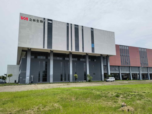 雙品牌戰略驅動，雙廠布局夯實根基 蓋夫內外貿并舉，技術開發引領全球化新篇章